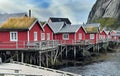 red cabins on stilts at the edge of the sea in the village Reine in Lofoten Islands North Norway