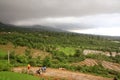 Picturesque rice fields of kangra India Royalty Free Stock Photo