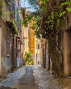 The picturesque Rione Trastevere on a summer morning, in Rome, Italy.