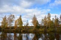 Picturesque river with birches on the Bank of the village, the water reflects the trees houses clouds
