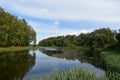 Picturesque river. Lake. Forest areas. Birch Grove. Green grass. Ducks in the water. Blue sky Royalty Free Stock Photo