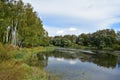 Picturesque river. Lake. Forest areas. Birch Grove. Green grass. Ducks in the water. Blue sky Royalty Free Stock Photo