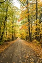 Picturesque road stretching to the horizon covered with fallen leaves in an autumn deciduous forest Royalty Free Stock Photo