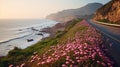 A picturesque road, surrounded by a sea of blooming flowers in every shade imaginable. Royalty Free Stock Photo