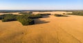 Picturesque rows of agricultural fields on a summer farm in the evening. Aerial photography, a picture of a drone with a