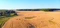 Picturesque rows of agricultural fields on a summer farm in the evening. Aerial photography, a picture of a drone with a