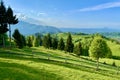 Picturesque rural green landscape with trees and fence