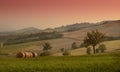 Picturesque rural landscape Royalty Free Stock Photo
