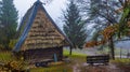 Picturesque rural landscape of an authentic ukrainian village at colorful autumn with wooden huts