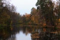 Picturesque rural landscape in golden autumn forest. Trees reflected in tranquil water surface. Colorful vibrant trees landscape Royalty Free Stock Photo