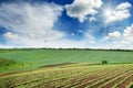 Picturesque rural landscape with a green spring field lit by the Royalty Free Stock Photo