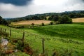 Rural Landscape With Horses And Sheep In Snowdonia National Park in North Wales, United Kingdom Royalty Free Stock Photo