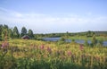 Picturesque Rural Landscape with Meadow and River Royalty Free Stock Photo