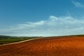 Picturesque rural landscape. Plowed field and vineyards against the blue sky Royalty Free Stock Photo