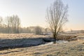 Picturesque rural winter landscape early in the morning Royalty Free Stock Photo