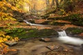 Picturesque scene of autumn forest with a stream