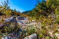 A Picturesque Scene with Beautiful Fall Foliage and Large Granite Boulders at Lost Maples Royalty Free Stock Photo