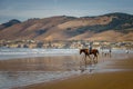 A picturesque scene of a California mounted patrol unit patrolling the sandy shores of a sunlit beach with the Pacific Ocean in