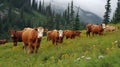 Alpine Serenity: Cows Grazing on a Wildflower Meadow with Snowy Peaks. Generative AI