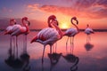 A picturesque scene of a group of flamingos standing in the water during the beautiful sunset, A flock of flamingos standing in
