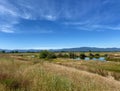 Beautiful scenery of a shrubby field with a pond and trail, Pacific Northwest