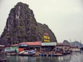 Picturesque scene of various boats docked at a marina near cliffs in Cat Ba, Vietnam