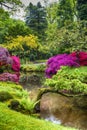 Picturesque Scenery of Japanese Garden in the Hague & x28;Den Haag& x29; in the Netherlands