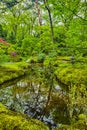 Picturesque Scenery of Japanese Garden in The Hague & x28;Den Haag& x29; in the Netherlands.