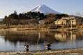 Picturesque scenery of Mt Fuji, two swans by the pond