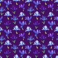 Seamless pattern of iris flowers on a purple background Royalty Free Stock Photo