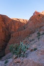 Picturesque Serpentine desert mountain road with cactus plants in Gorges Dades in high Atlas, Morocco Royalty Free Stock Photo