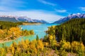 Picturesque shores of Abraham Lake Royalty Free Stock Photo