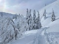 Picturesque shot of white winter landscape in the idyllic Slovenian backcountry.
