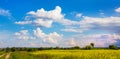 Picturesque sky with white curly clouds over yellow field during rapeseed flowering_ Royalty Free Stock Photo