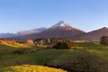 Picturesque snowcapped mount Taranaki over farmland at sunset, New Zealand