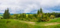 Picturesque spring Carpathians scene with wooden split rail fence across a green and lush pasture surrounded by coniferous forests Royalty Free Stock Photo