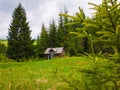 Picturesque spring scene with wooden cabin cottage on a lush pasture surrounded by pine woods