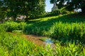 Springtime landscape of small stream