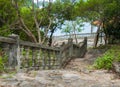 A picturesque staircase in the jungle