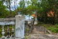 A picturesque staircase in the jungle