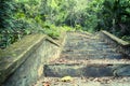 A picturesque staircase in the jungle of Vietnam