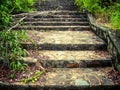 A picturesque staircase in the jungle of Vietnam