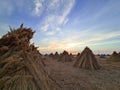 Picturesque stocks of hay rising above the horizon in the sunset hour