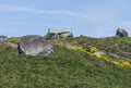 Picturesque stone house in Portuguese countryside