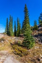 Picturesque stony shore around Lake Moraine Royalty Free Stock Photo