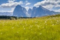 Picturesque summer alpine landscape  seen from Seiser Alm Alpe di Siusi Royalty Free Stock Photo