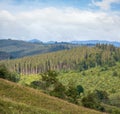 Picturesque summer Carpathian mountain countryside, Ukraine