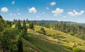 Picturesque summer Carpathian mountain countryside, Ukraine