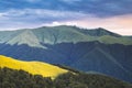 Picturesque summer landscape in Carpathian mountains