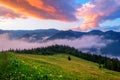 Picturesque summer landscape with colorful sunrise